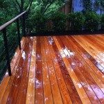 exotic wood deck garapa